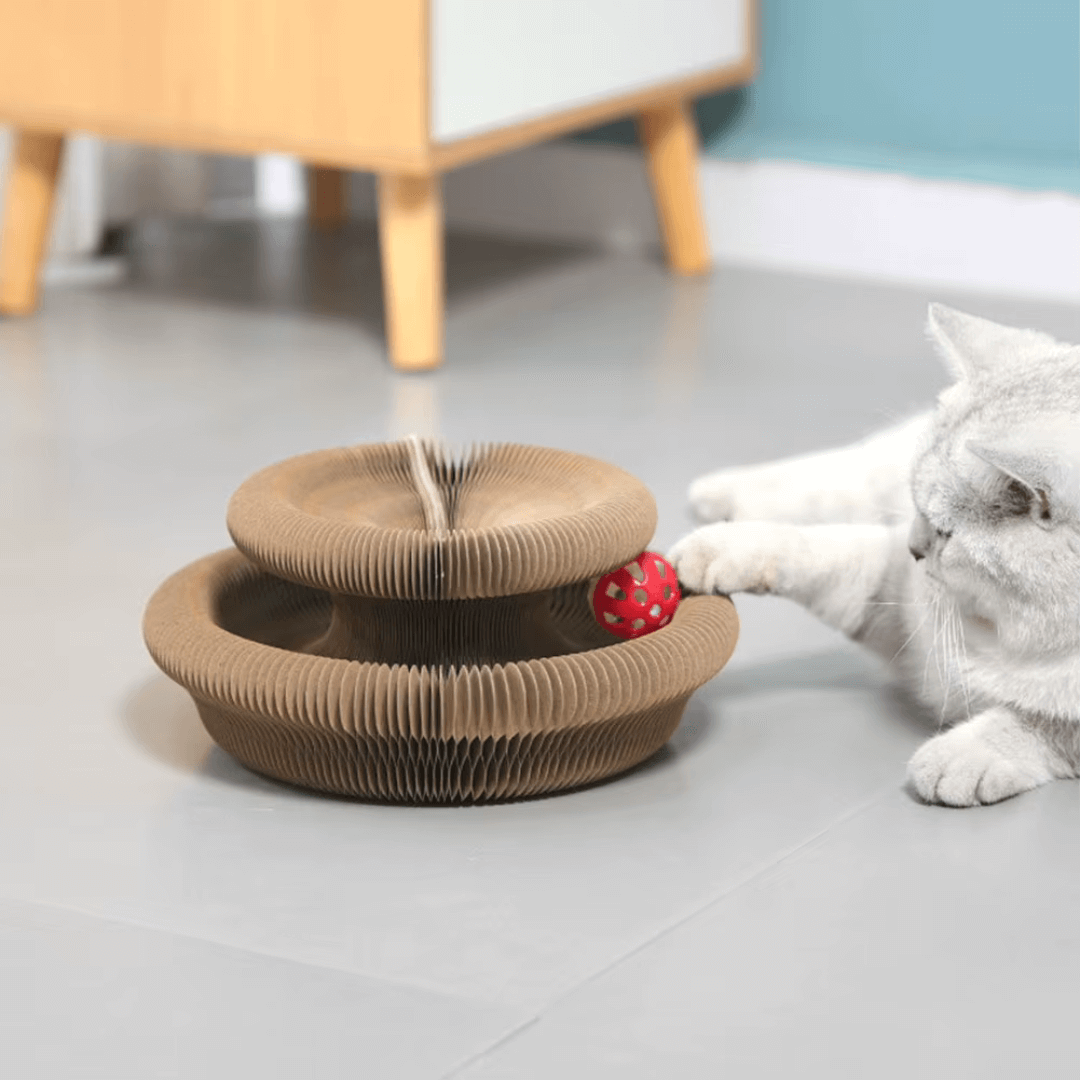 KATZEN GLÜCK Kratztunnel – Katzenspielzeug und Kratzfläche