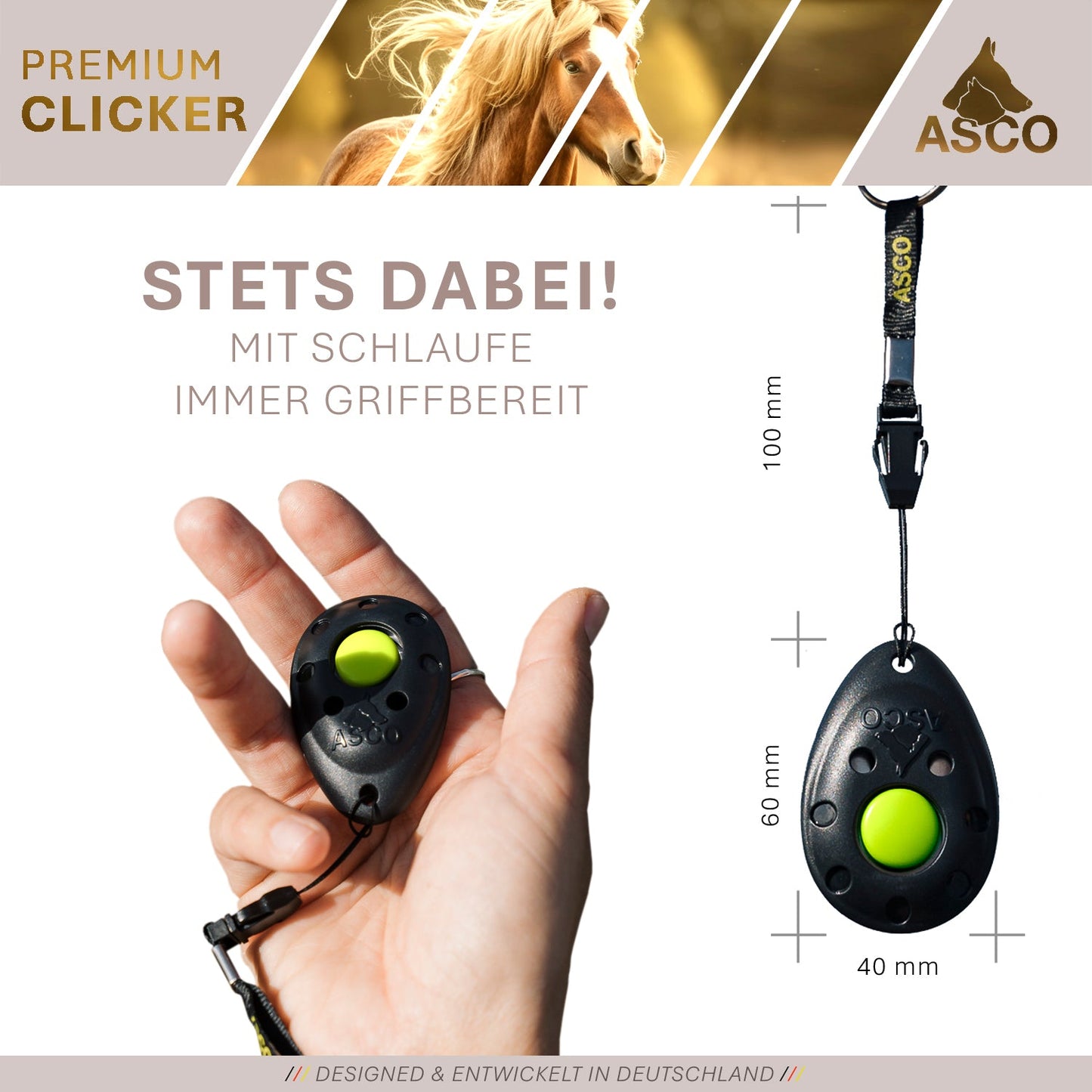 Premium Clicker für Hunde & Katzen – Profi Clicker für Clickertraining | ASCO