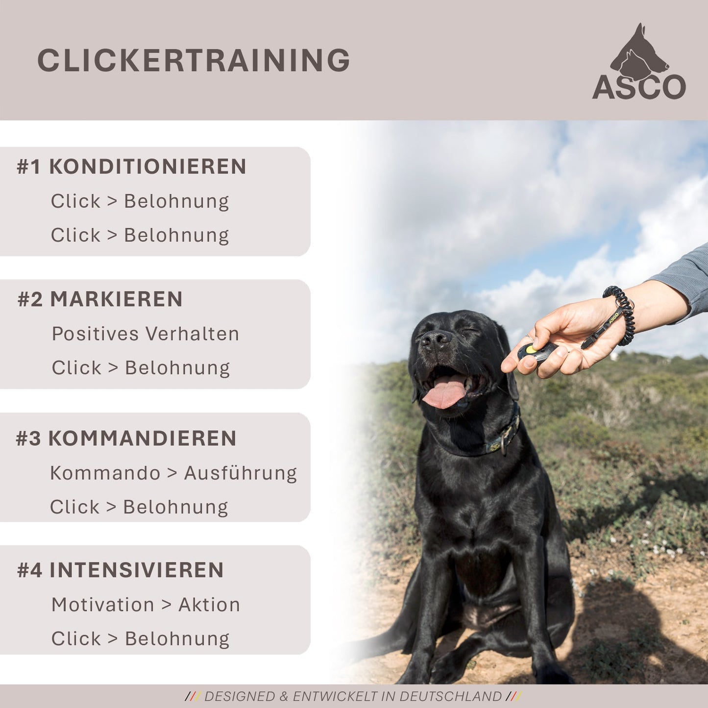 Premium Clicker für Hunde & Katzen – Profi Clicker für Clickertraining | ASCO