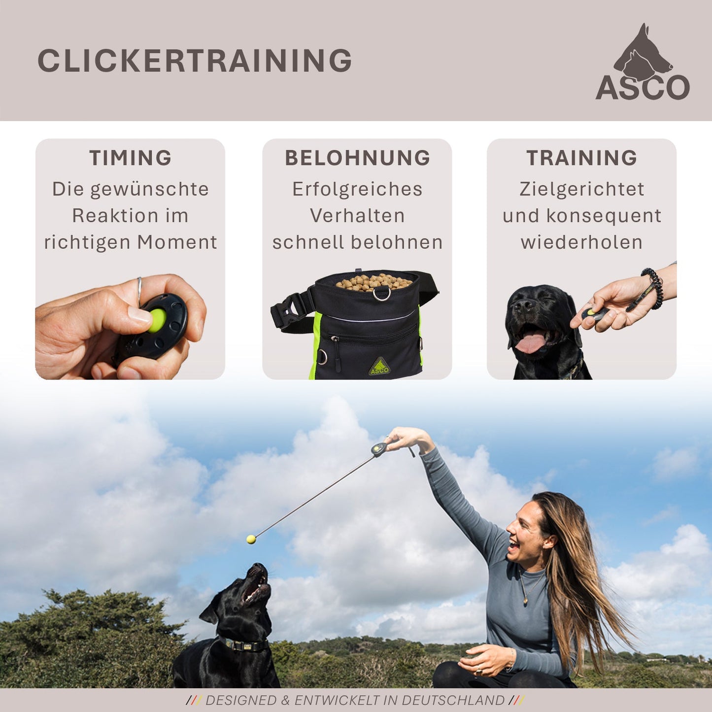 Premium Clicker für Hunde & Katzen – Profi Clicker für Clickertraining | ASCO