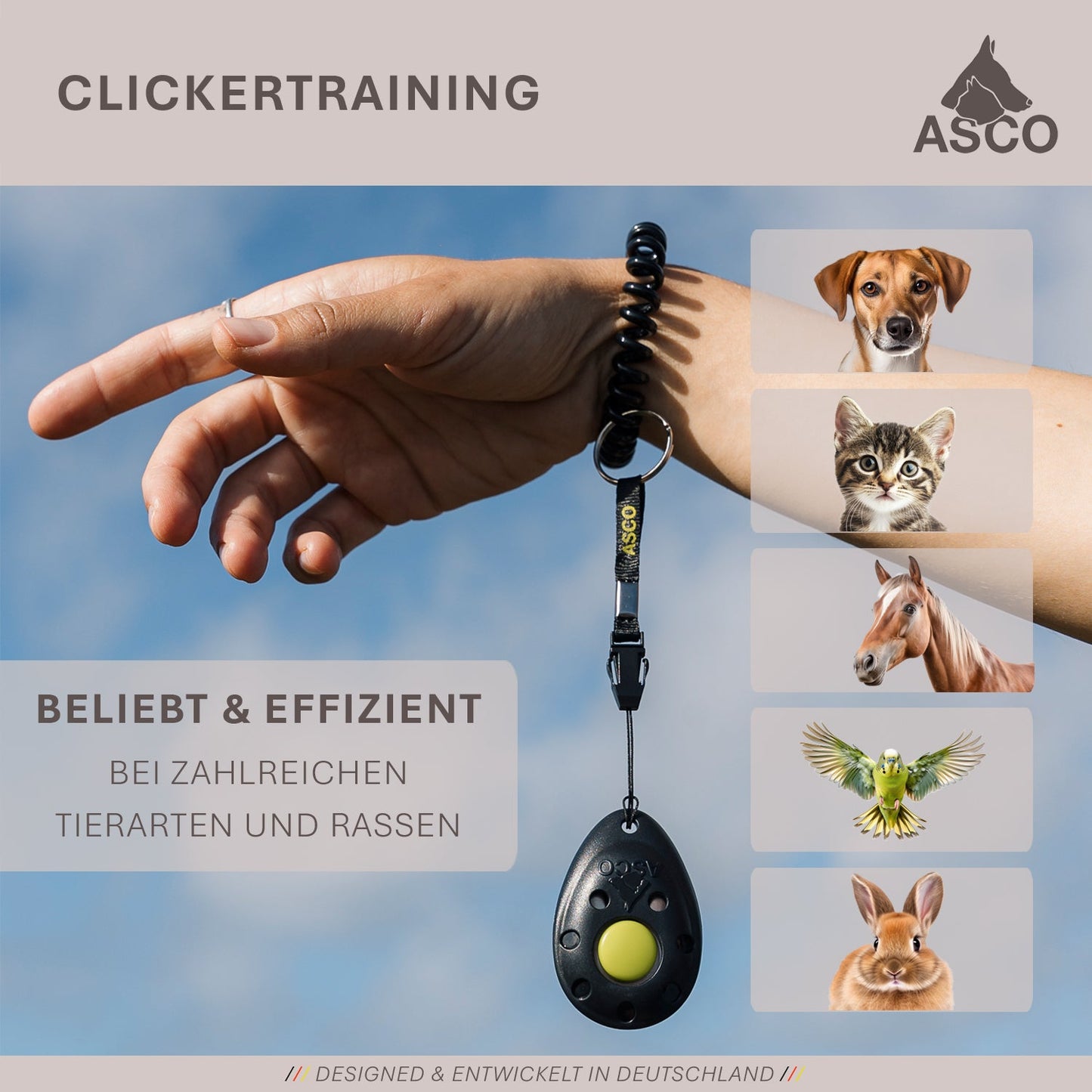 Premium Clicker für Hunde & Katzen – Profi Clicker für Clickertraining | ASCO