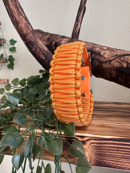 Personalisiertes Halsband 'MIX 25mm'